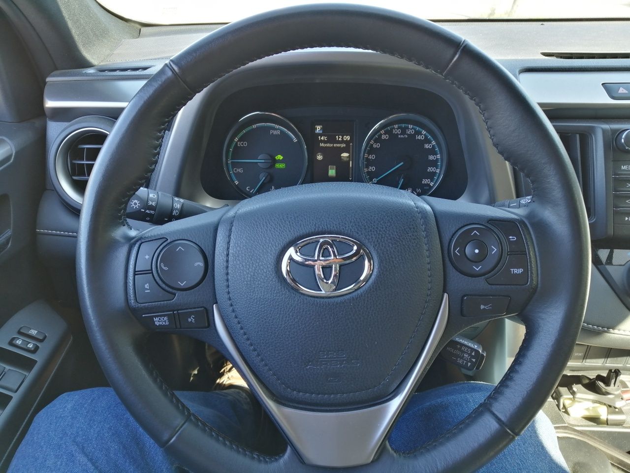 Toyota RAV4 Híbrido 2.5 Pure Dark