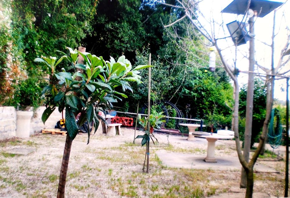 Terreno rústico com casa madeira de apoio ao parque lazer