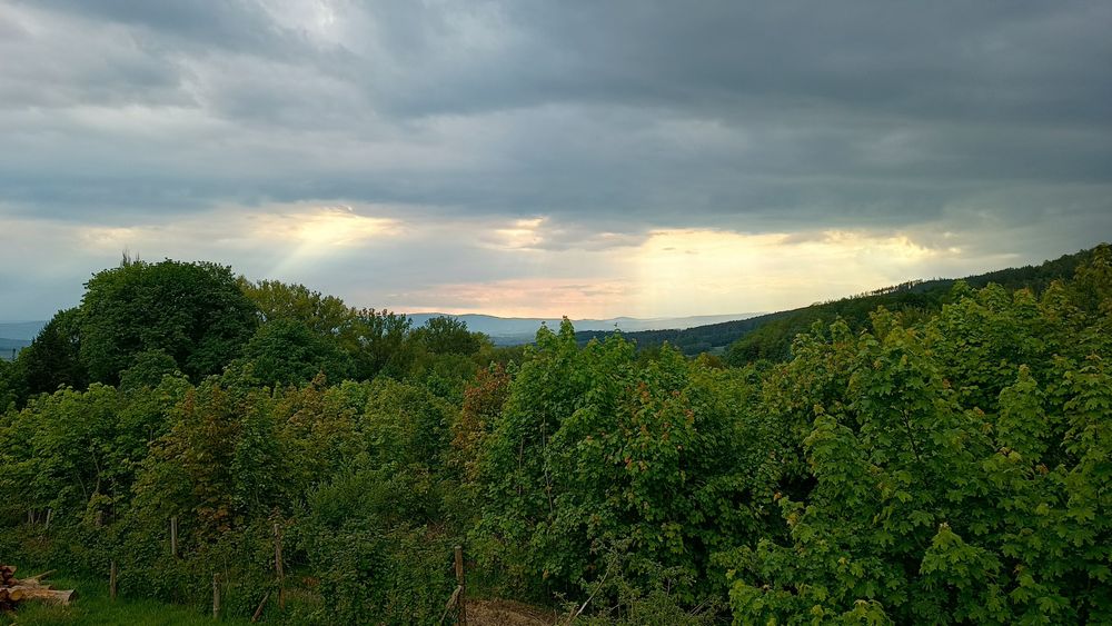 Sprzedam działkę budowlaną