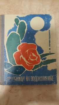 Лечебница на подоконнике. С.Приходько.