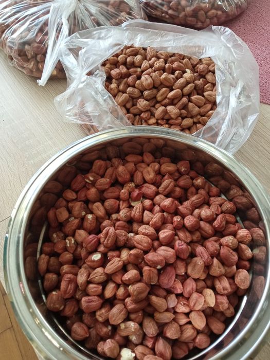 Orzech laskowy suszony