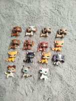 Littlest pet shop wymiana pop