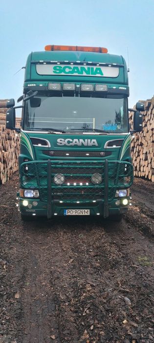 Scania R560 6x4 HDS do drzewa do lasu do drewna