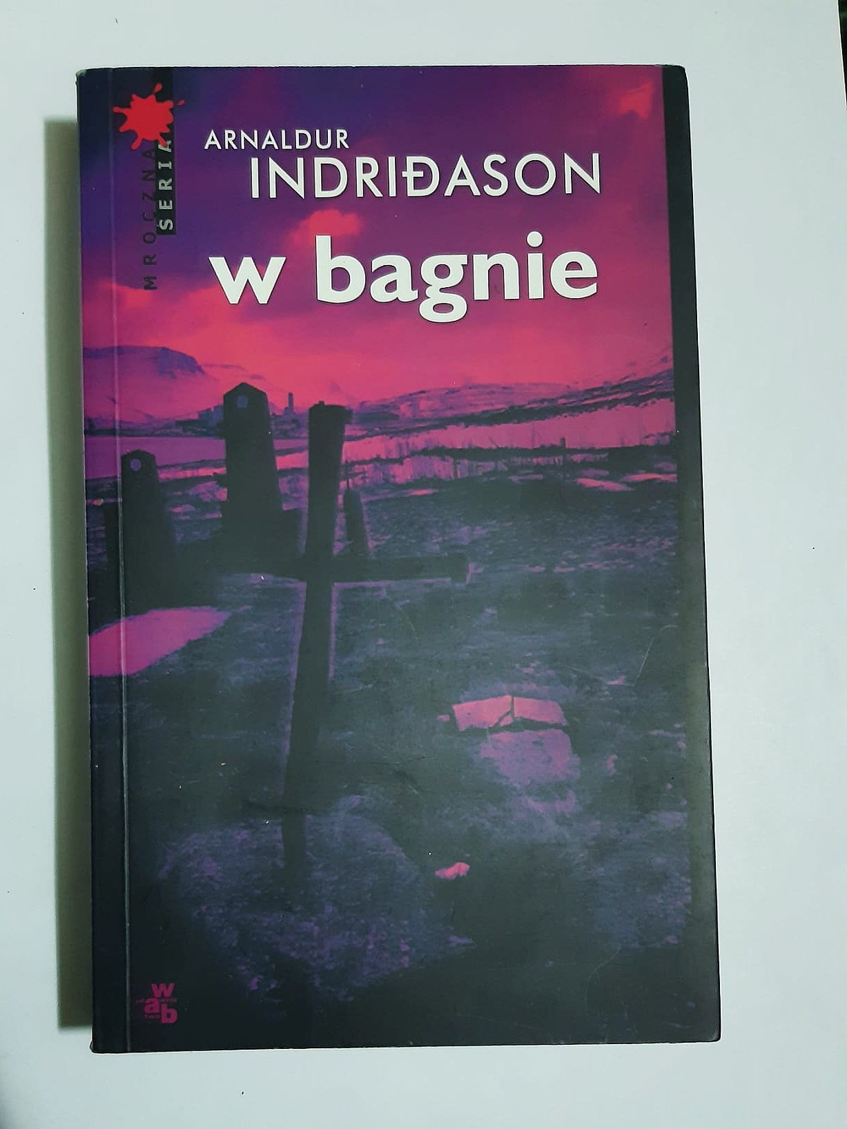 W bagnie indridason ZZ306