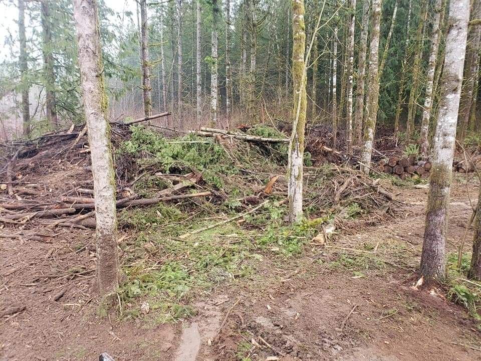 Wycinka zarośli krzaków karczowanie działki czyszczacie terenu mulczer