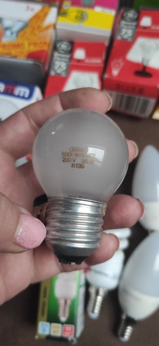 Zestaw różnych żarówek