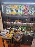 Mural Refrigerado para exposição de alimentos - Marca MAFIROL
