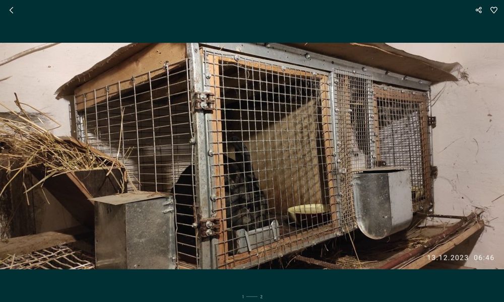 Продам клетки для животных с кормушками.