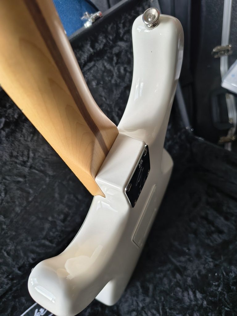 Fender Stratocaster Player + Case + Pasek + Kabel (Fender)