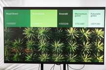 Monitor NEC C860Q 86" 4K UHD – używany, drobna wada (okazja!)