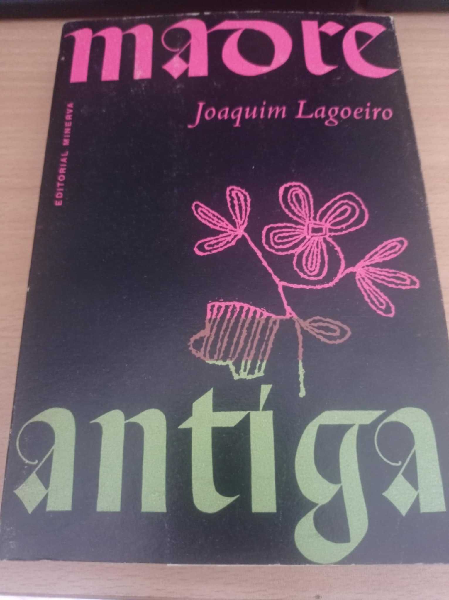 vendo livro Madre Antiga