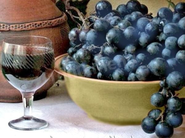 Куплю виноград на вино сам приеду оборву !