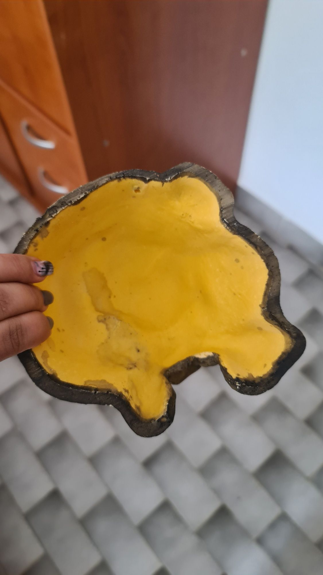 Esconderijo réptil