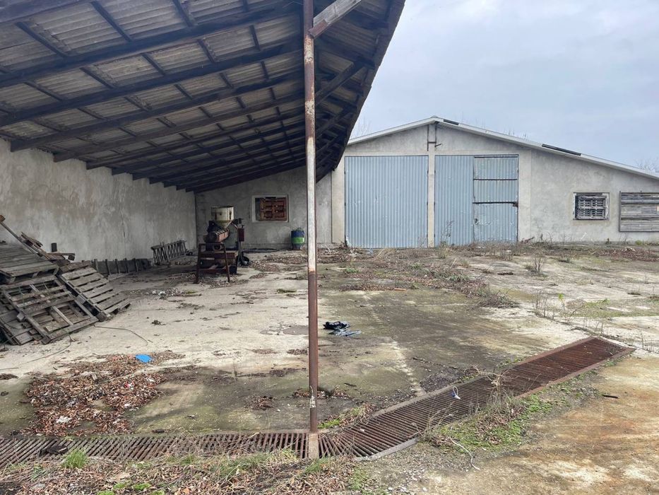 Продається майновий комплекс 3000 м.кв.  с. Мамаївці