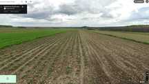 Grunt orny o pow. 0,36 ha Wolica gm. Stopnica