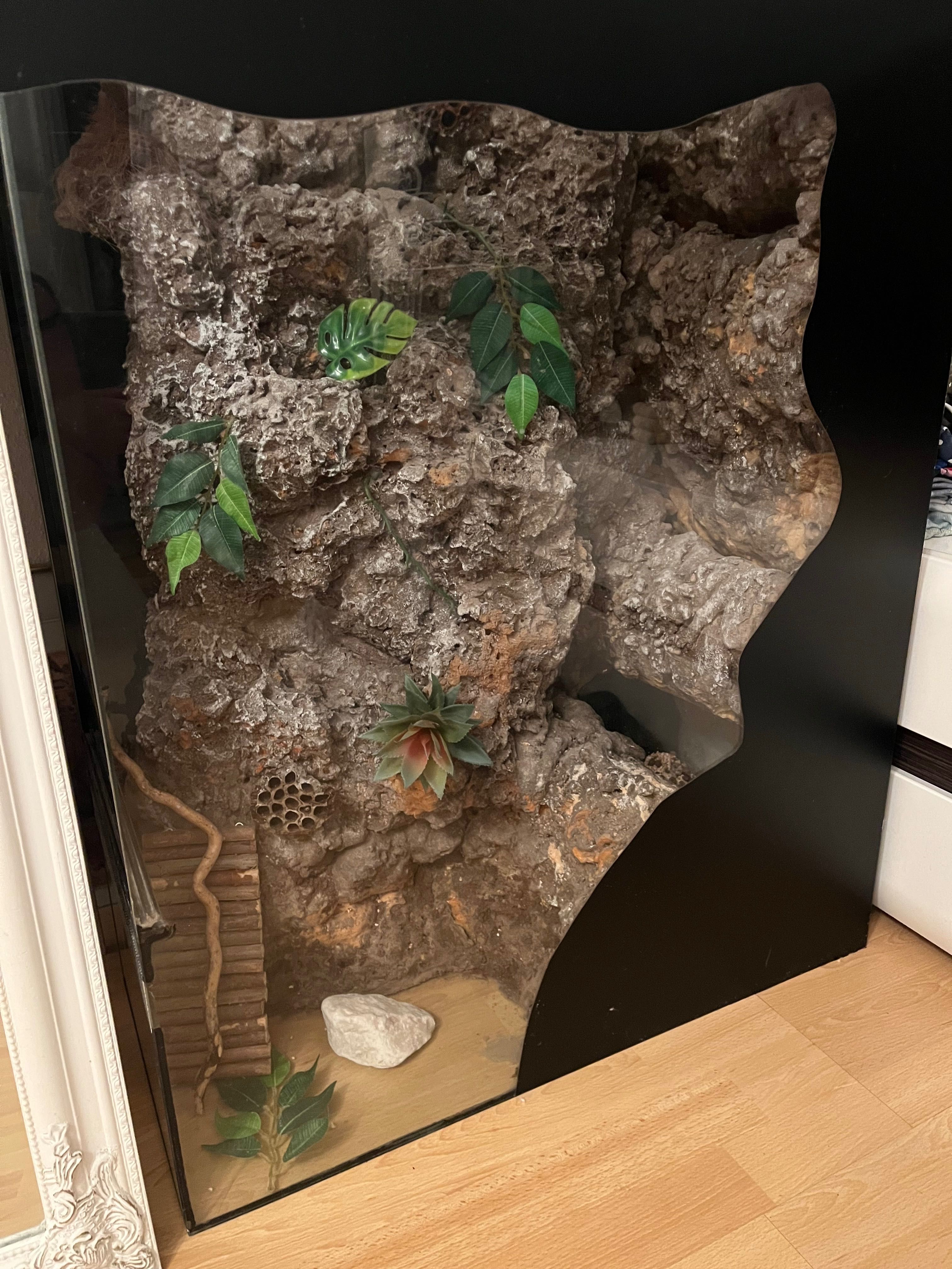Terrarium wertykalne 90x70x30 gekon orzęsiony ze ścianką wystrojem