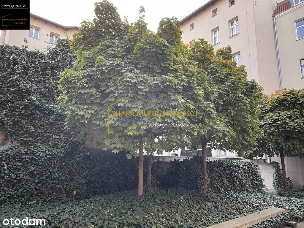 Prestiżowe mieszkanie z widokiem na Park Wilsona!!