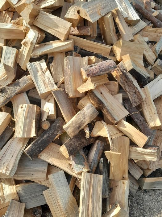 Suche drewno opałowe opał drzewo sosna brzoza olcha