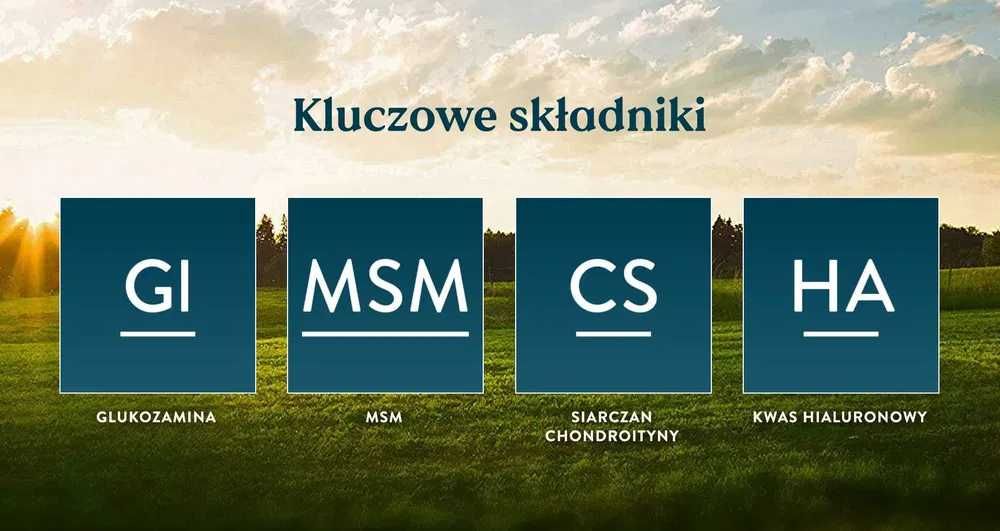 2-PAK Everflex (stawy) od Nature's Sunshine