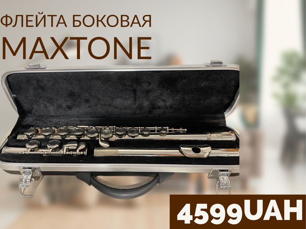 Флейта Боковая Maxtone (Франция)