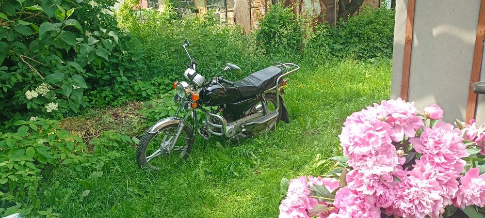 Альфа zs50 (110)