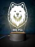 Psia lampka LED! Personalizacja! Samoyed Bulldog Corgi York Border