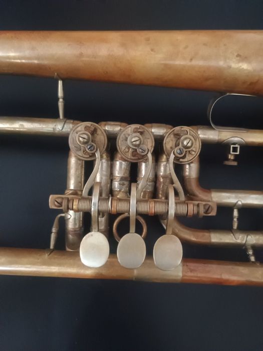 Trąbka boczna Skrzydłówka Kornet Weltklang