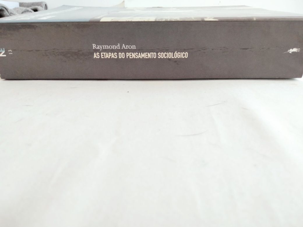 Vendo Livro As Etapas do pensamento sociológico