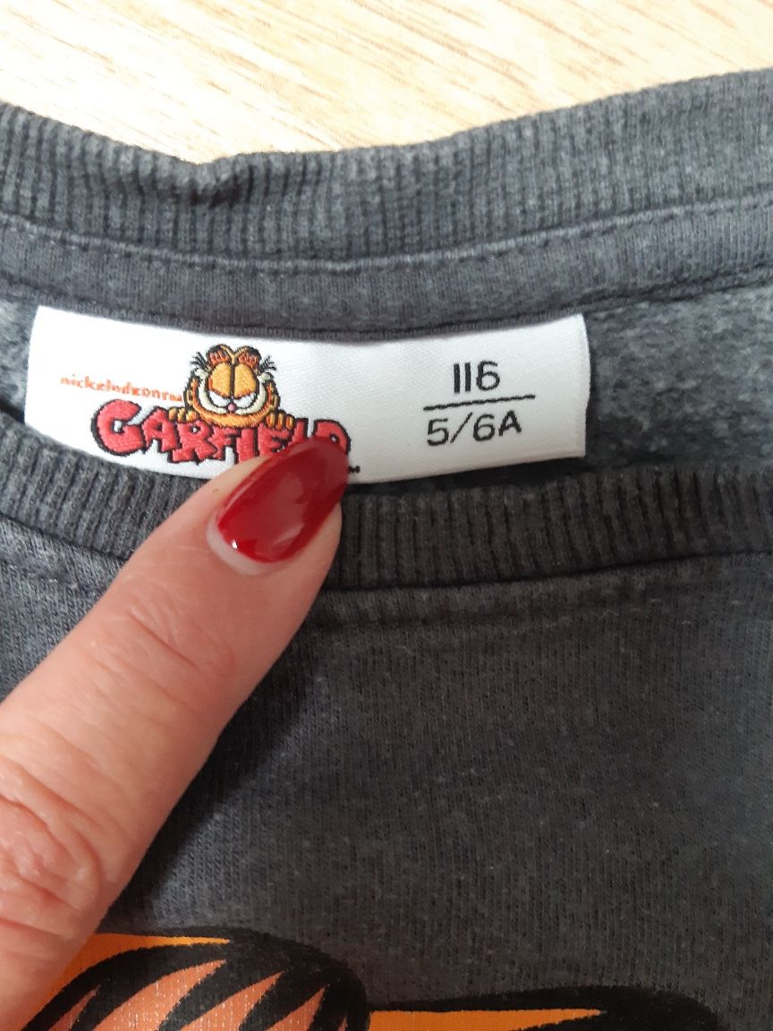 Bluza dla chłopca Garfield