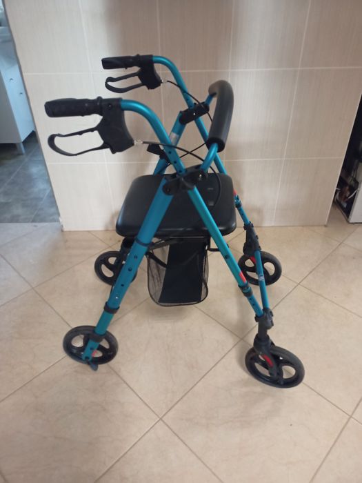 Andarilho - Auxiliar de Marcha