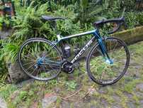 Focus Cayo Ultegra
