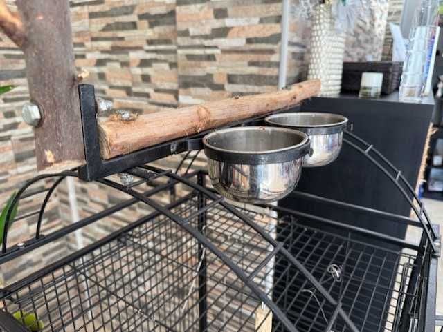 Papagaio Amazona Ochrocephala + Gaiola