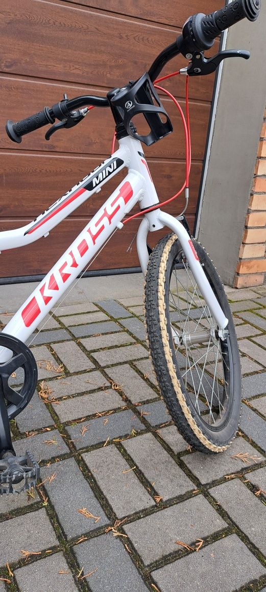 Rower Kross mini
