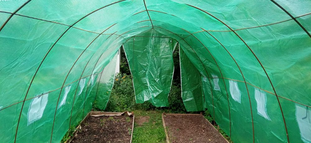 tunel foliowy pod warzywa