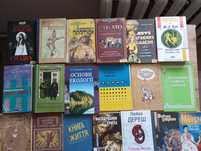 Книги українською мовою Бібліотека української літератури БУЛ