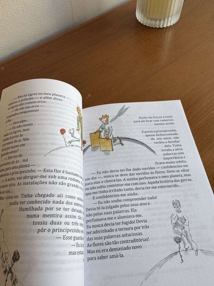 Livro o principezinho