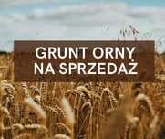 Sprzedam grunty orne o łącznej powierzchni 1.15 ha w Ligocie Książęcej