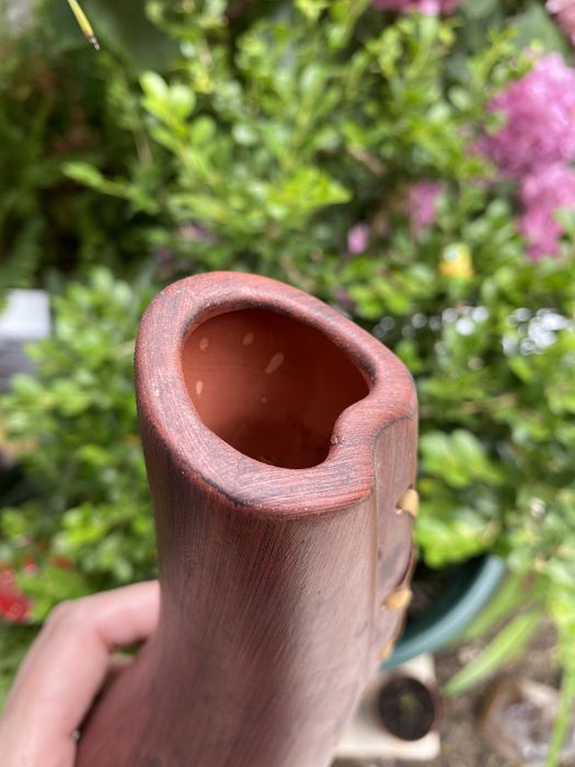 Vaso flor planta decorativo espartilhos