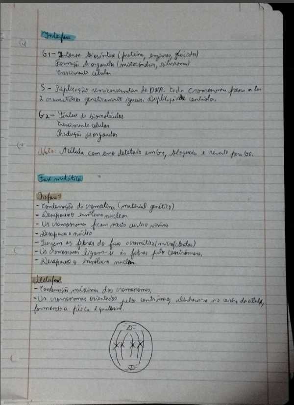 Resumo da matéria de Biologia- Geologia 10º e 11º anos