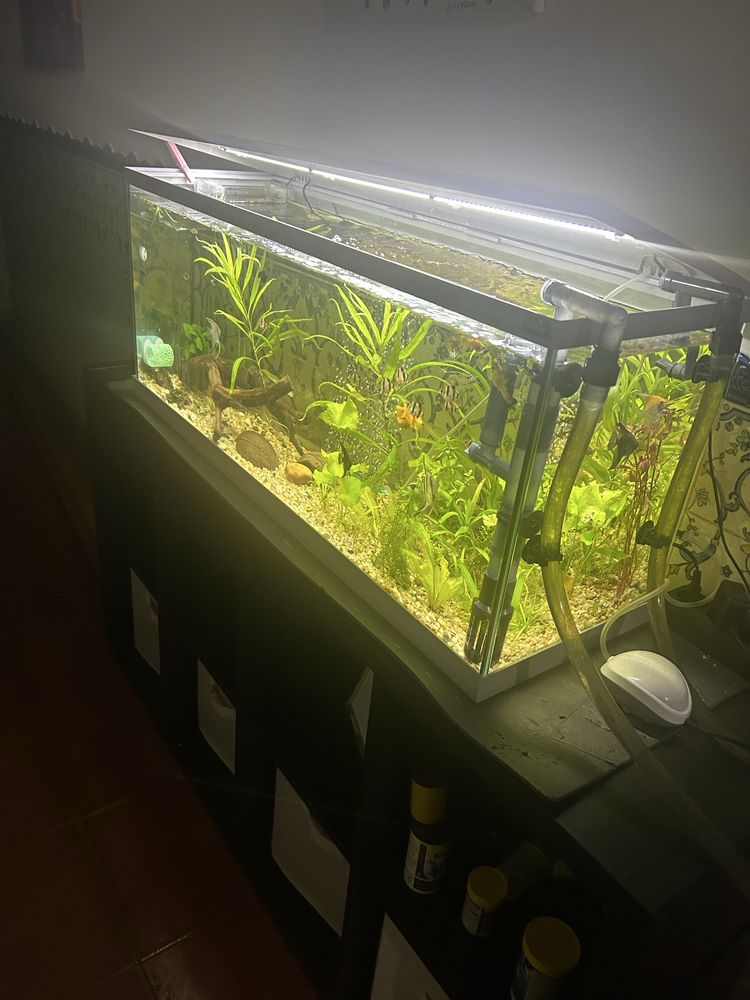 Aquario Zolux 120lt