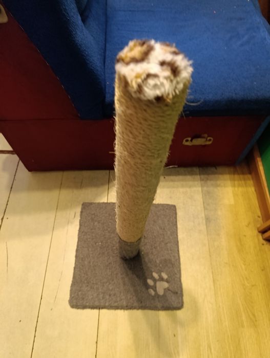 Когтеточка недорого