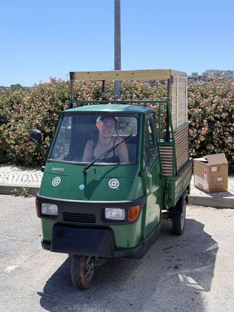 Piaggio ape 50 top