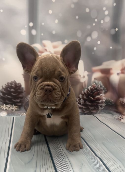 Самі кращі малюки два щепленя