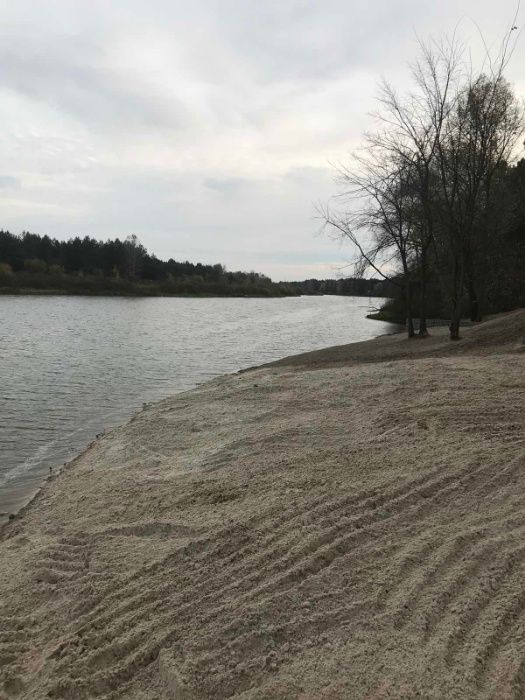 Корчування пнів та дерев