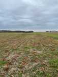 Dzialka 1000 m2 dzialka budowlana blisko zalewu