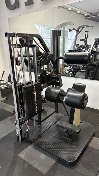 Nautilus тренажер для преса і спини (скручування + розгинання)