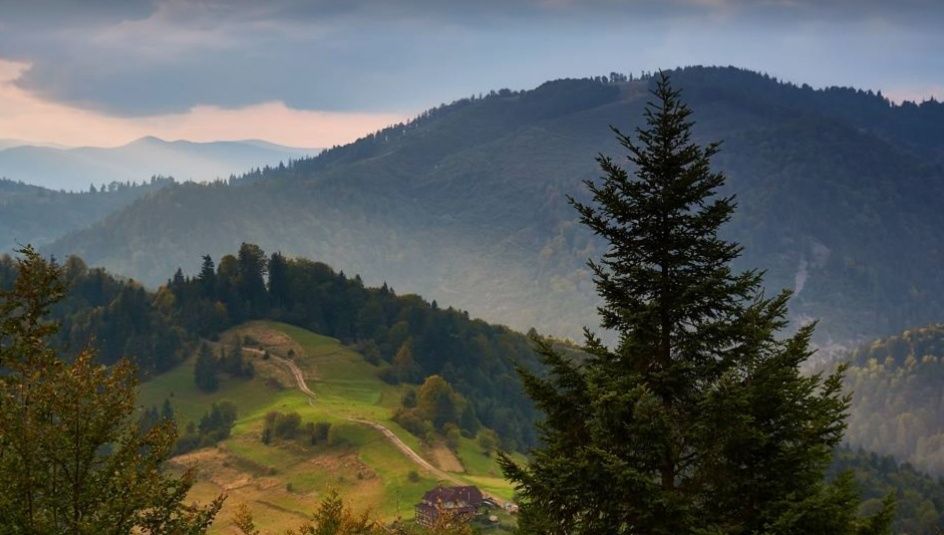 Продам земельну ділянку "Міжгір'я" 7 соток.