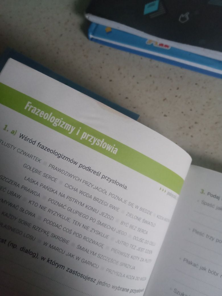 Książka ćwiczenia klasa 7 Między nami