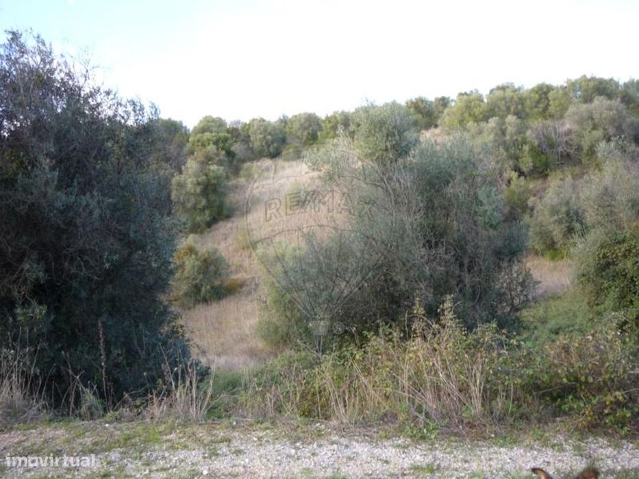 Terreno  para venda