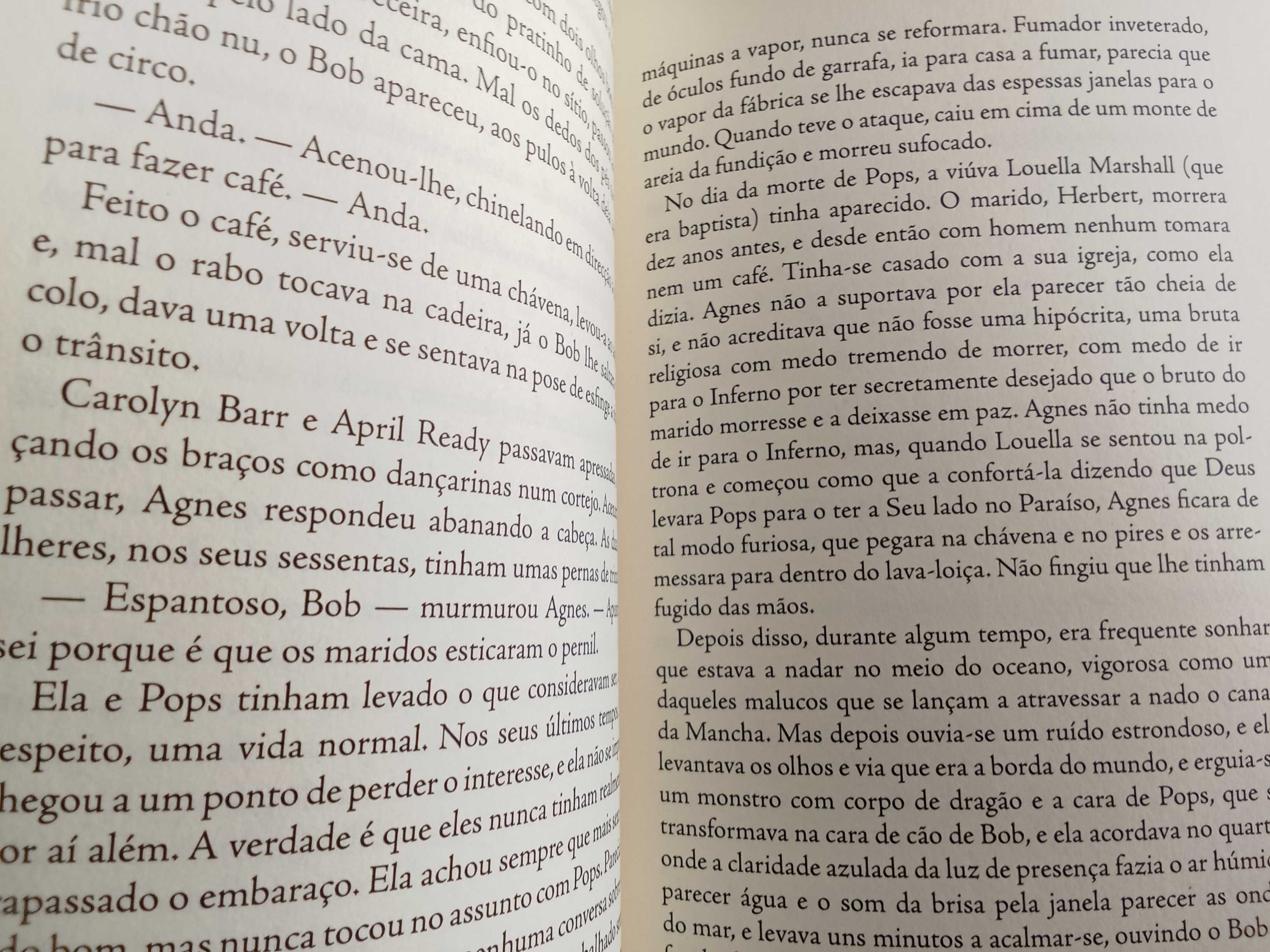 Brad Watson - Últimos dias dos Cães-Homens